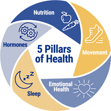 Colorful graphic showing the 5 pillars of health: nutrition, movement, sleep, hormones, emotional health.