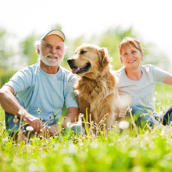 Older couple resting in green-yellow meadow with a smiling golden retriever.