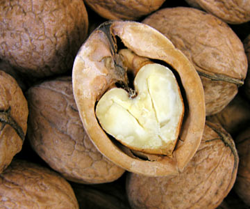 Heart-shaped walnut cracked open