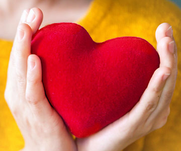 Two hands hold felt heart shaped toy