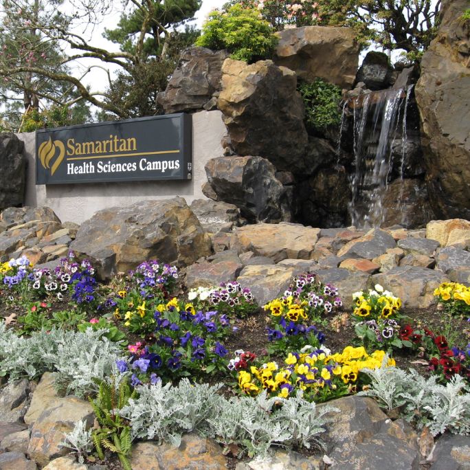 Campus Entrance Garden with a small waterfall.