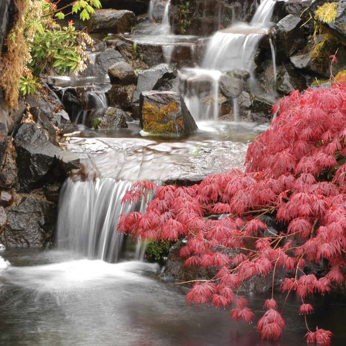 A waterfall at the Lebanon gardens.