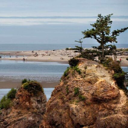 Ocean beach with rocks and tree