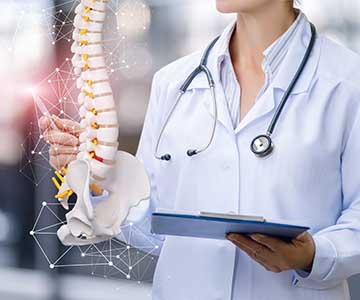 Doctor points to a model of the spine