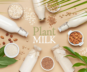 Various plant milks and nuts placed in a circle with the words "plant milk" written in the center.