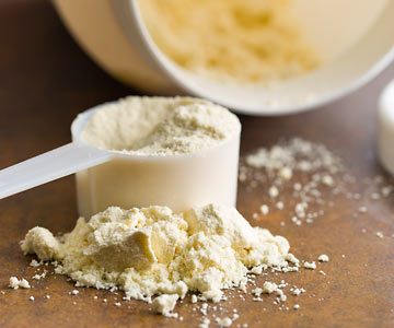 Protein powder