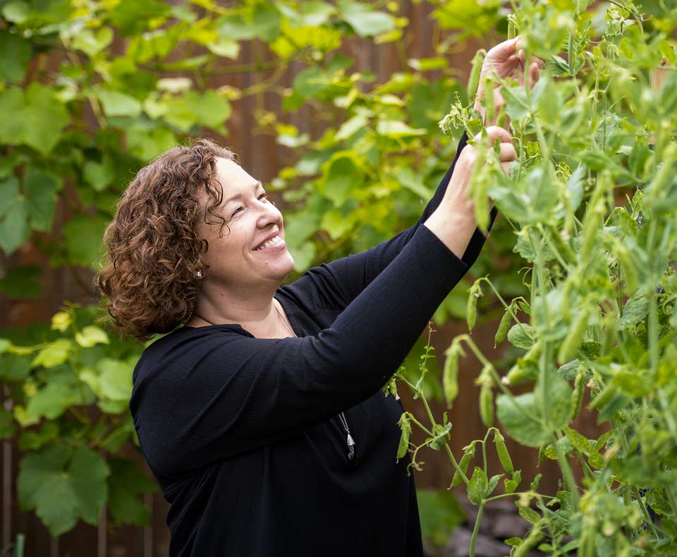 Audrey picking peas in her backyard.